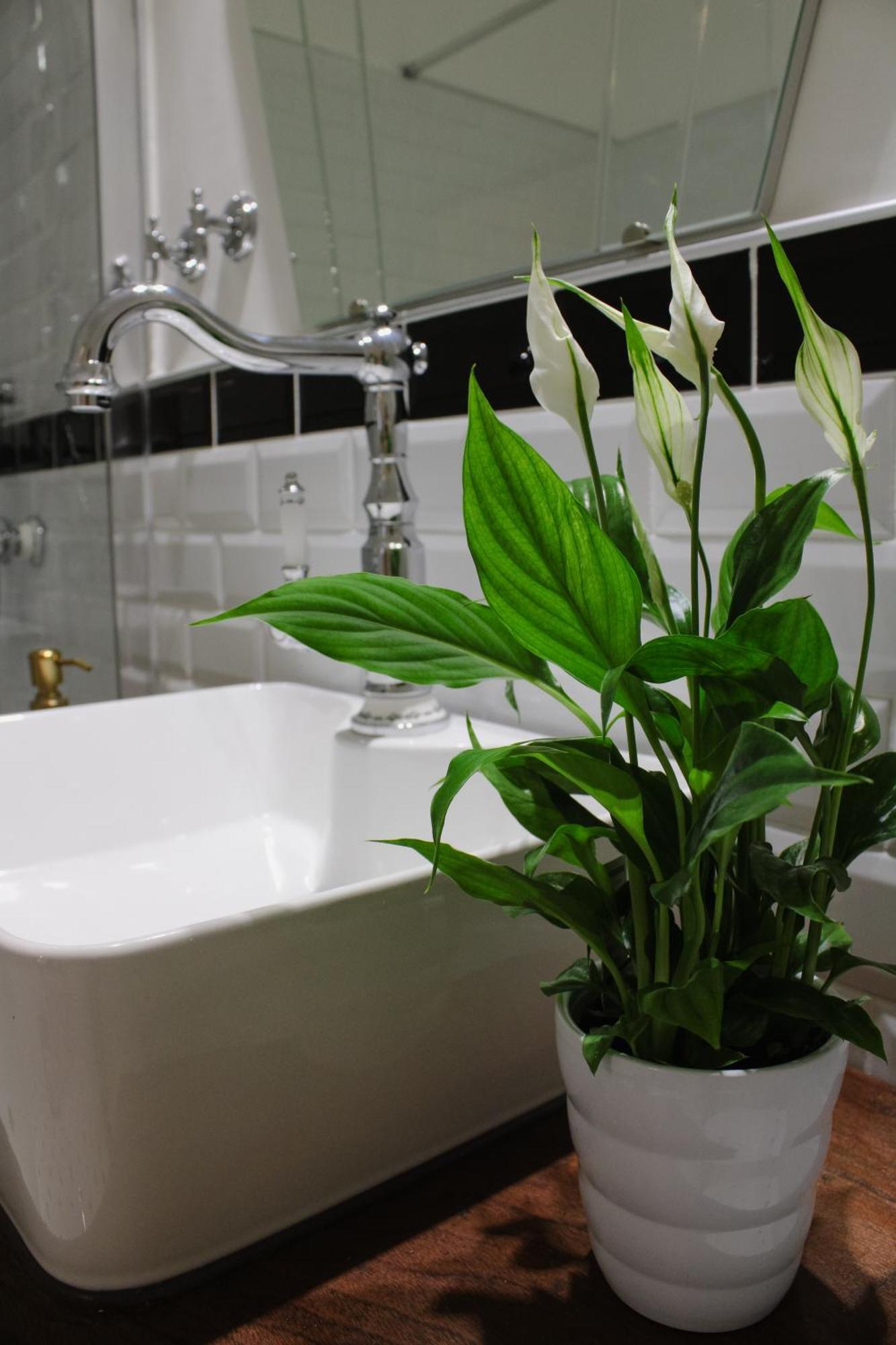 Madea Apartman Zagreb Dış mekan fotoğraf